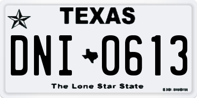 TX license plate DNI0613