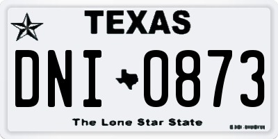 TX license plate DNI0873