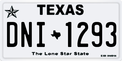 TX license plate DNI1293