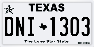 TX license plate DNI1303