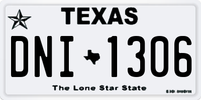 TX license plate DNI1306
