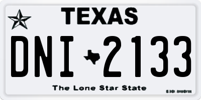TX license plate DNI2133