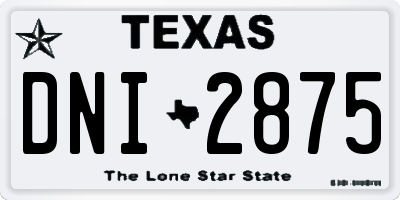 TX license plate DNI2875
