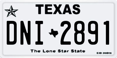 TX license plate DNI2891