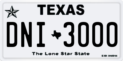 TX license plate DNI3000