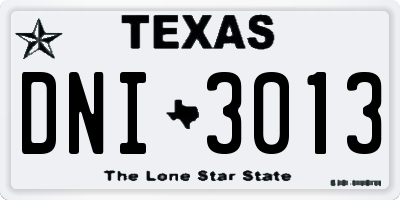 TX license plate DNI3013