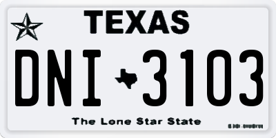 TX license plate DNI3103