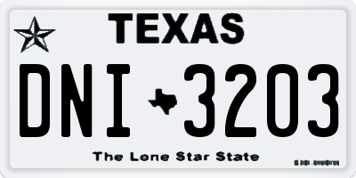 TX license plate DNI3203