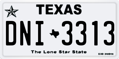 TX license plate DNI3313
