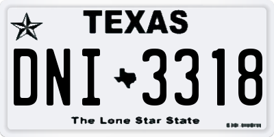 TX license plate DNI3318