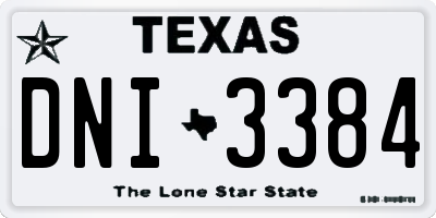 TX license plate DNI3384