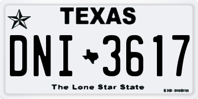 TX license plate DNI3617
