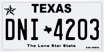 TX license plate DNI4203