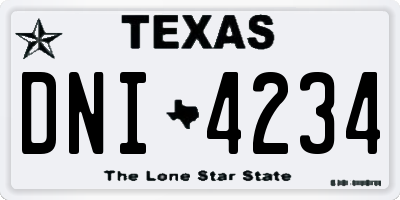 TX license plate DNI4234