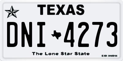 TX license plate DNI4273