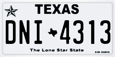 TX license plate DNI4313