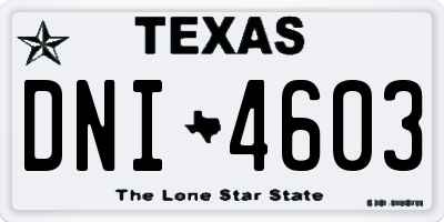 TX license plate DNI4603
