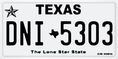 TX license plate DNI5303