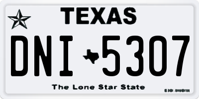 TX license plate DNI5307