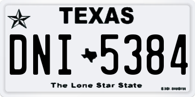 TX license plate DNI5384