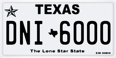 TX license plate DNI6000