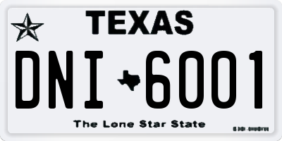 TX license plate DNI6001