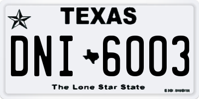 TX license plate DNI6003