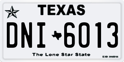 TX license plate DNI6013