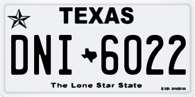TX license plate DNI6022