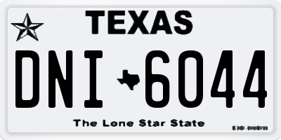 TX license plate DNI6044
