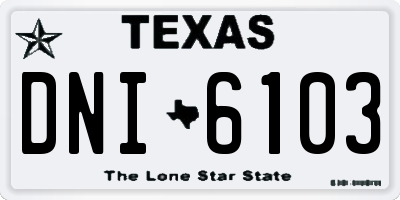 TX license plate DNI6103