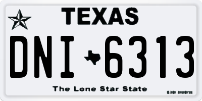 TX license plate DNI6313