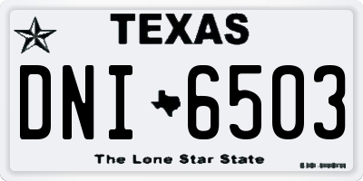 TX license plate DNI6503