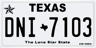 TX license plate DNI7103