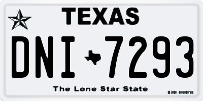 TX license plate DNI7293