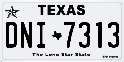 TX license plate DNI7313