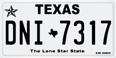 TX license plate DNI7317