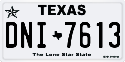 TX license plate DNI7613