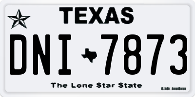 TX license plate DNI7873