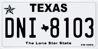 TX license plate DNI8103