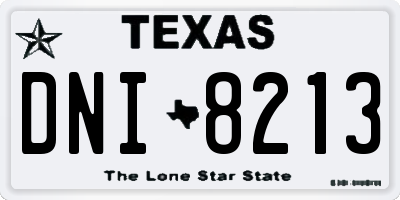 TX license plate DNI8213