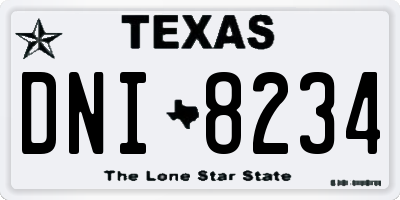 TX license plate DNI8234