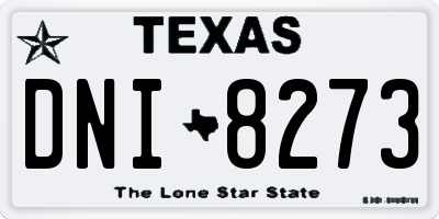 TX license plate DNI8273