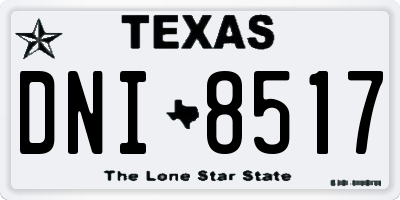 TX license plate DNI8517