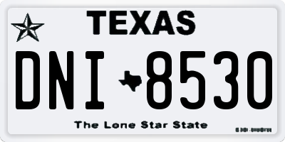 TX license plate DNI8530