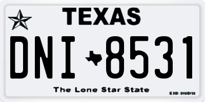 TX license plate DNI8531