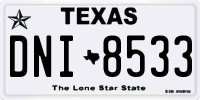 TX license plate DNI8533
