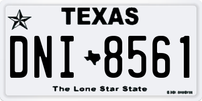 TX license plate DNI8561