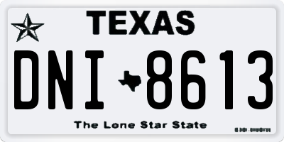 TX license plate DNI8613