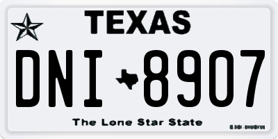 TX license plate DNI8907